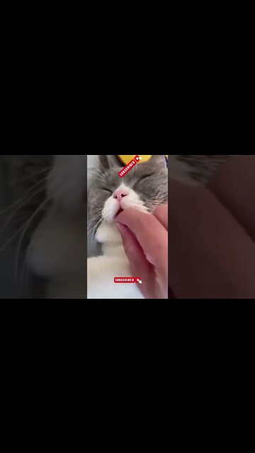 #drivingfails #shorts