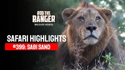 Safari Highlights #399: 13 - 16 April 2016 | Sabi Sand Wildtuin | Latest Wildlife Sightings