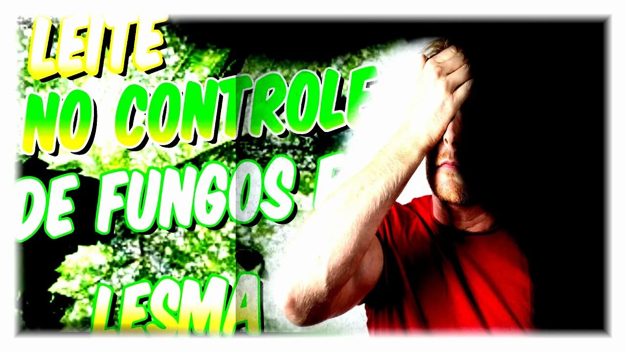 Uso de leite bovino no controle 🤠 fitossanitário Fúngicas NO controle de oídio