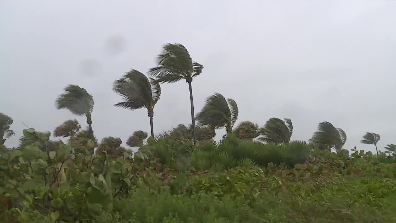 Windy conditions in South Florida fun for some, pain for others