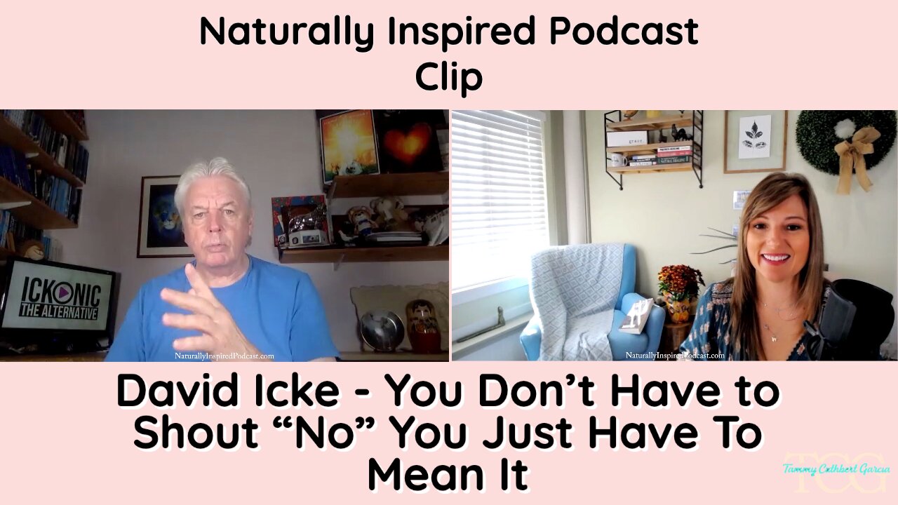 David Icke - You Don't Have To Shout "No", You Just Have To Mean It