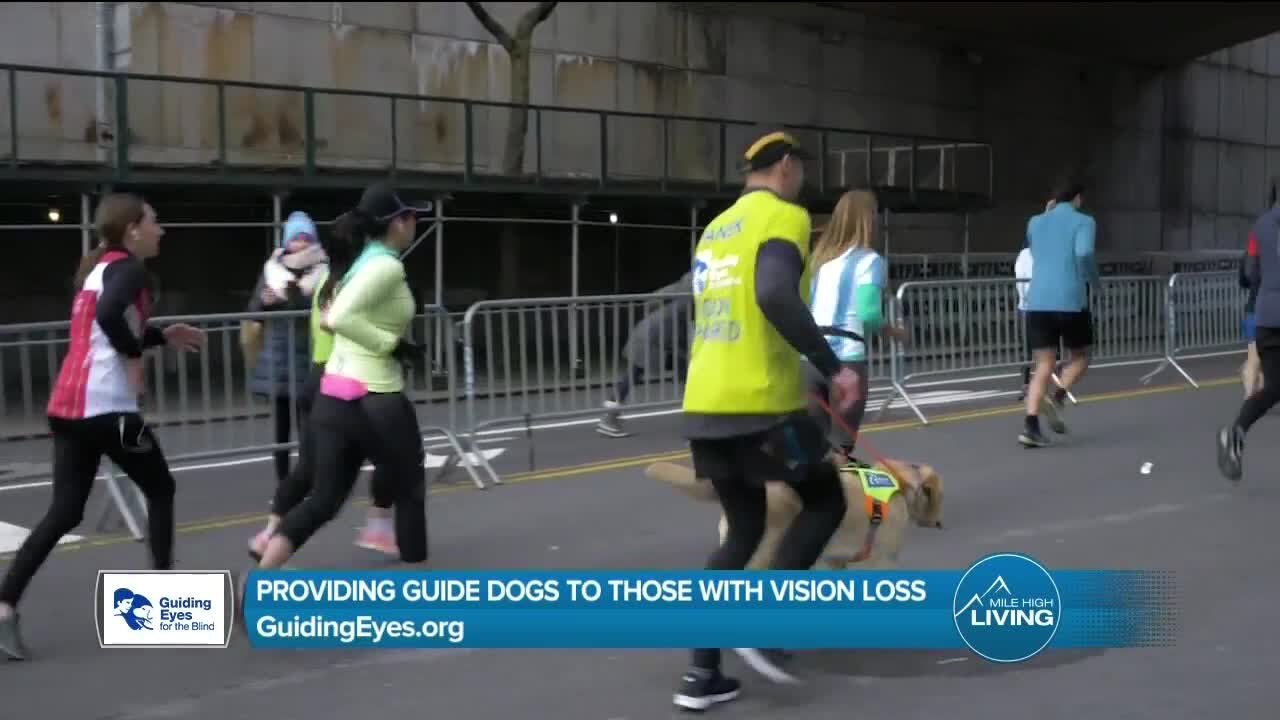 Providing Guide Dogs // Guiding Eyes