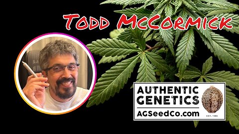 Todd McCormick