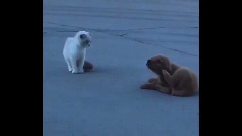 The Oscar goes to... ❤️🤣🤣