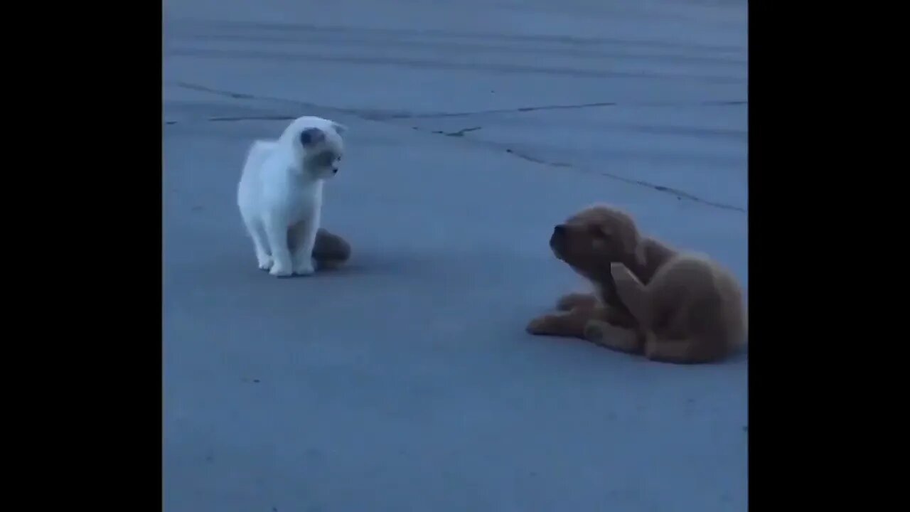 The Oscar goes to... ❤️🤣🤣