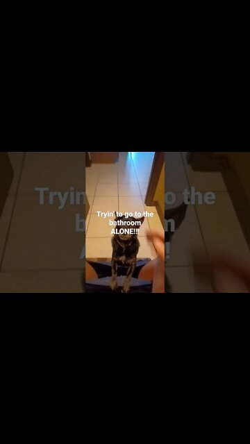 Tryin' to go the the bathroom ALONE!!! #short