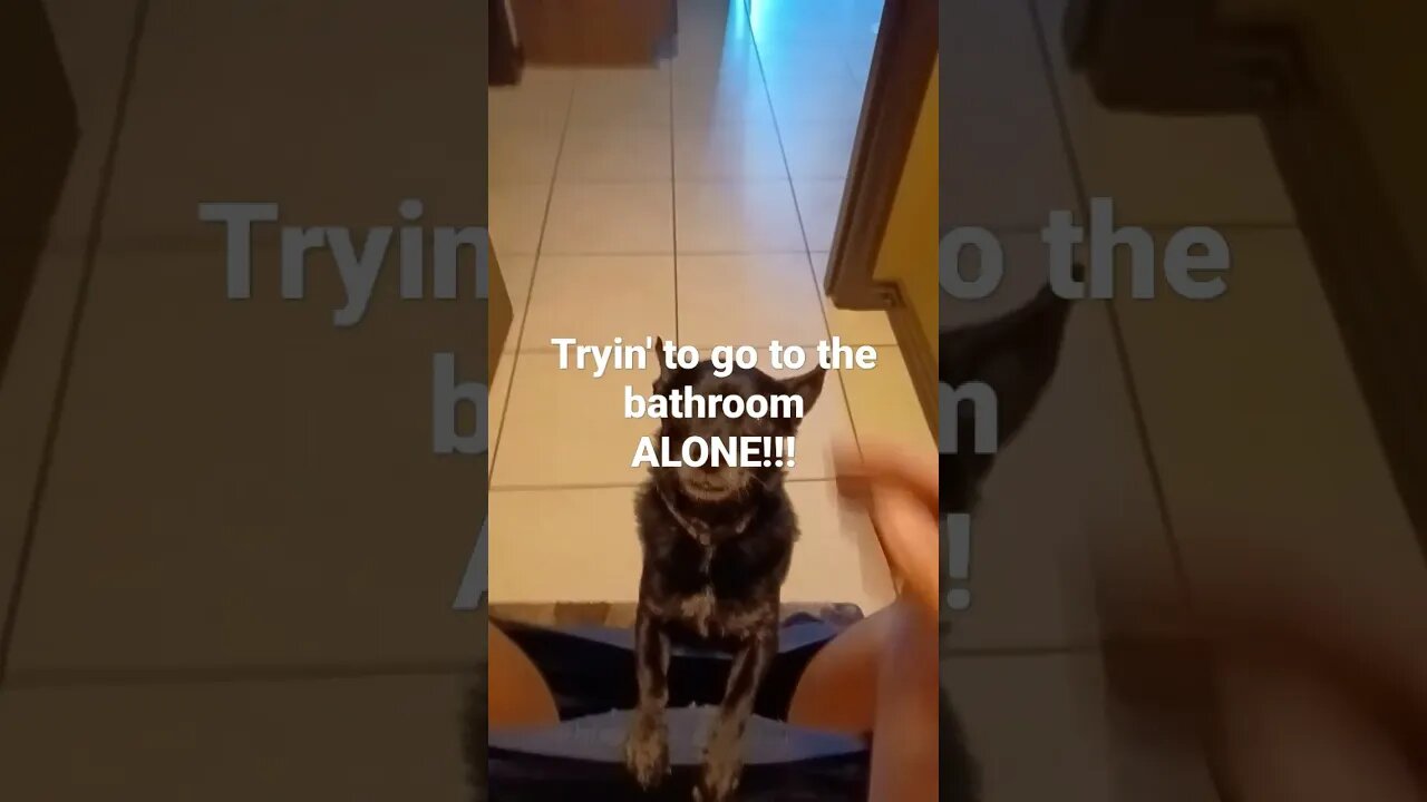 Tryin' to go the the bathroom ALONE!!! #short