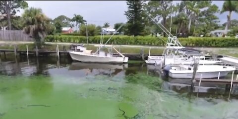 New Lake Okeechobee water management plan revealed by Army Corps of Engineers