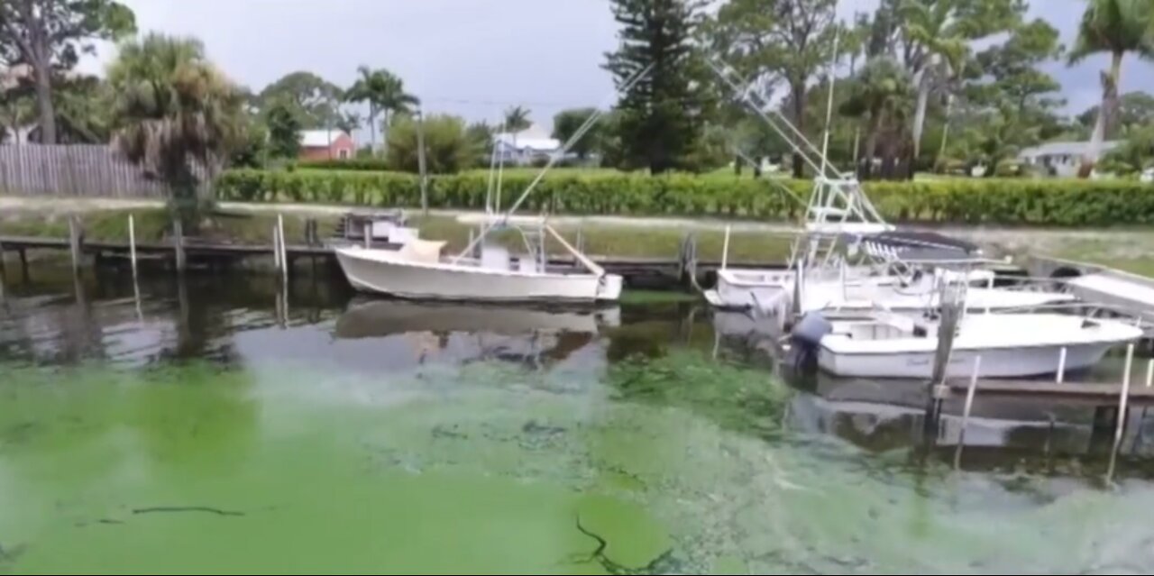 New Lake Okeechobee water management plan revealed by Army Corps of Engineers