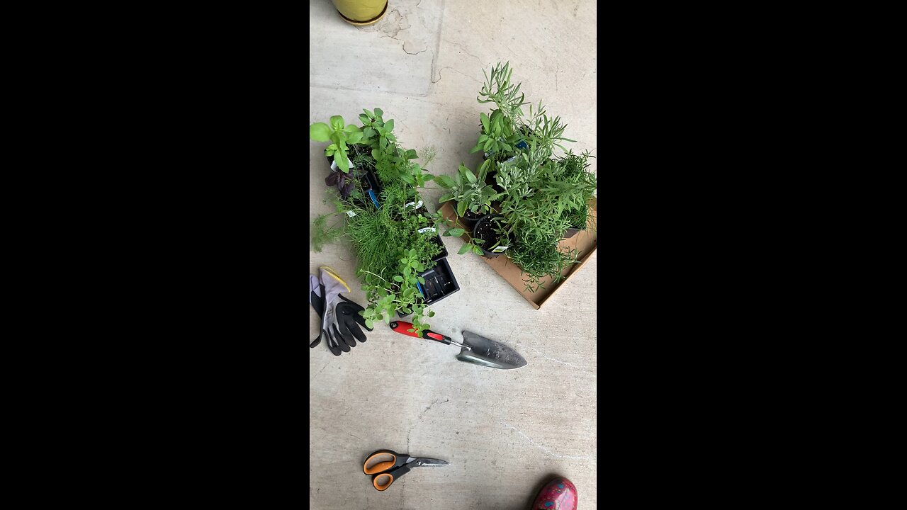 Herb Garden - Zone 8B