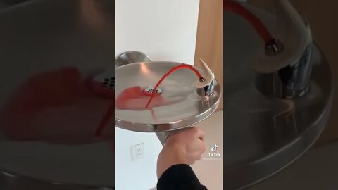 David Dobrik fruit punch fountain! 😱