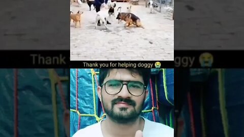 Thanks for Helping Dogy #ytshorts #shorts #youtubeshorts