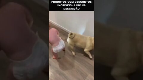 bebê trolando o cachorro 😂😂😂