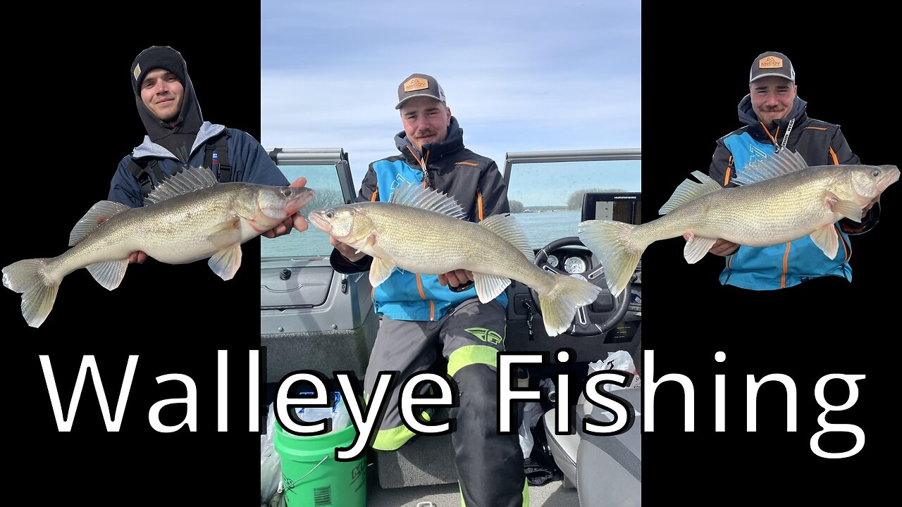 Spring Walleye Fishing, 3 10lb Walleye in one day on the Mississippi River. Red Wing, MN(New PB)