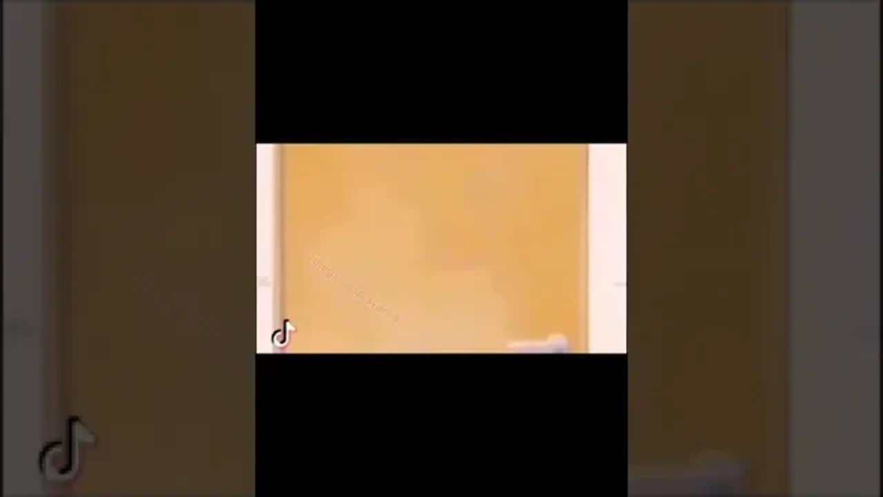 Вот это встреча ...