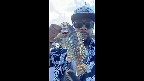 GET IN THIS BOAT!!!!