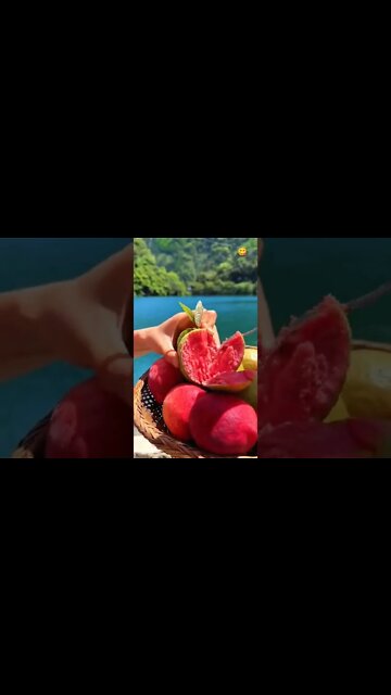 So Yummy Guava #UpFoodReview #ytshorts #Food #Streetfood #viral #viral2022 #trending #trending2022