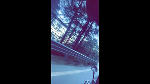 Nature views
