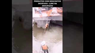 cachorro subindo escada para entrar no barco