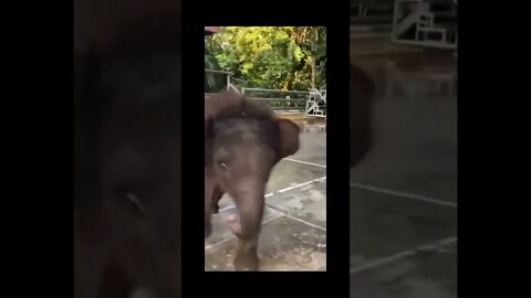 Video will make your day