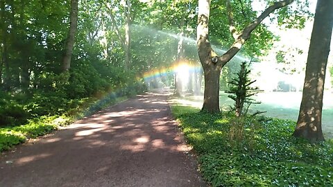 8. Tag: Die Ehre Novene zu Ehren von Gott Vater