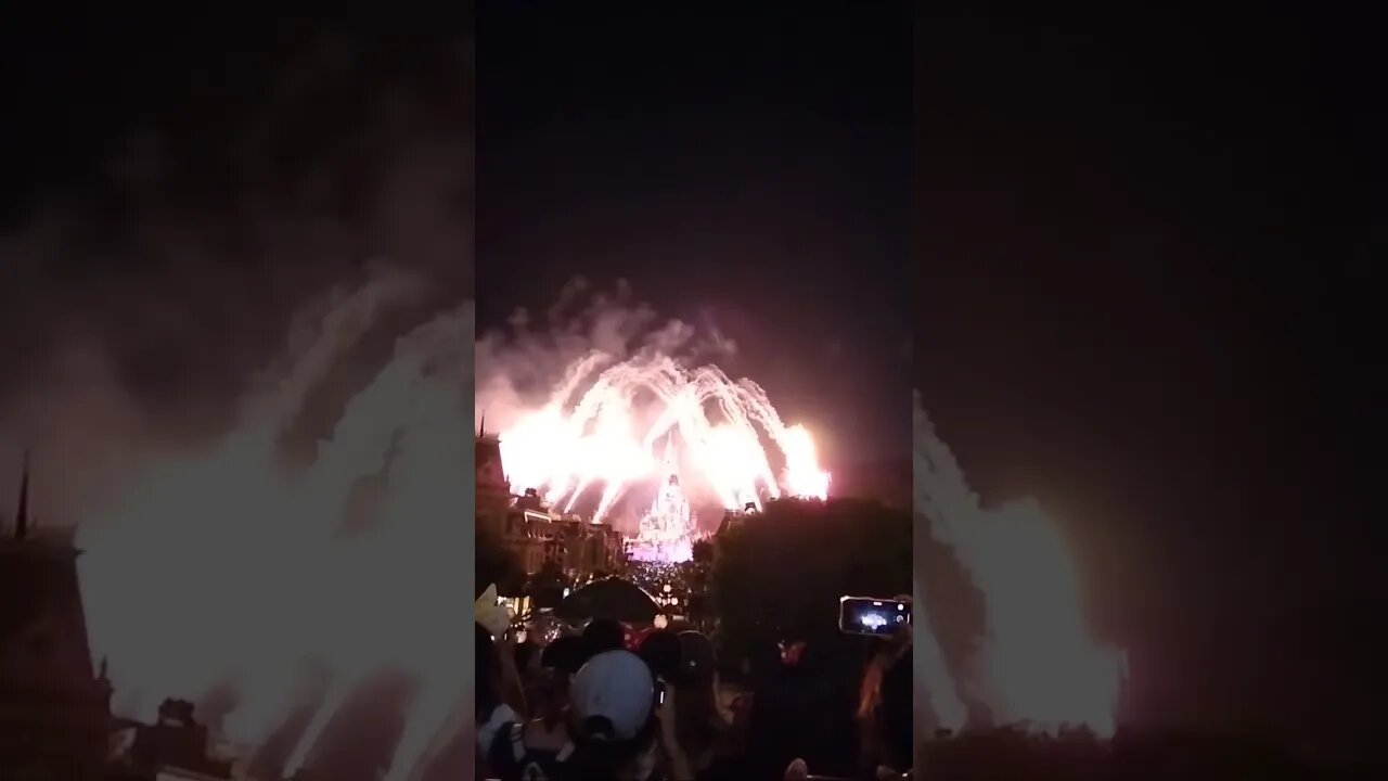 Disneyland at 8:30 pm