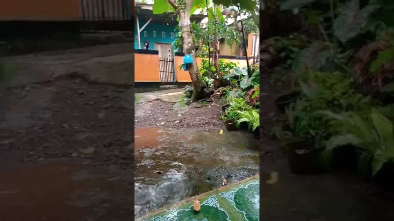 hujan sore hari