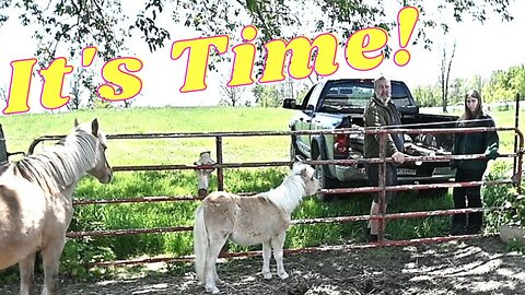 It's Finally Time To Do This, And Sophie Gets Her First Lesson At Home!