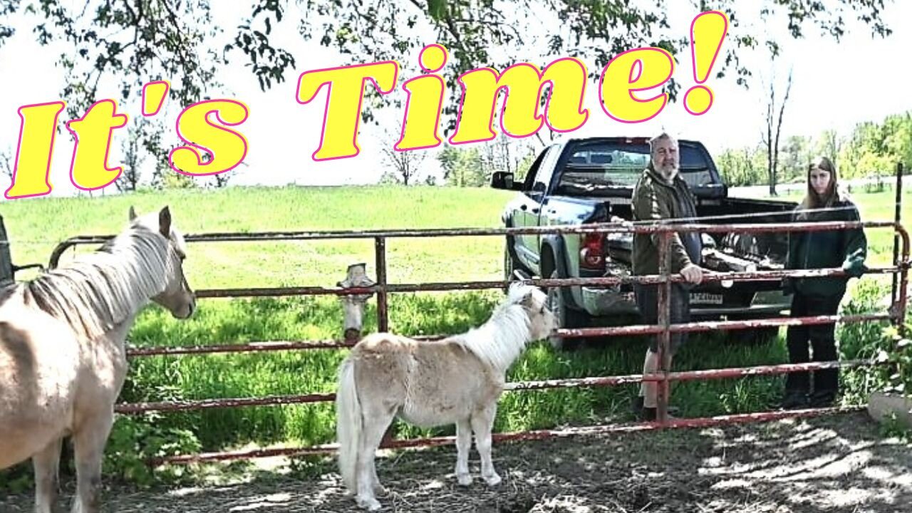 It's Finally Time To Do This, And Sophie Gets Her First Lesson At Home!