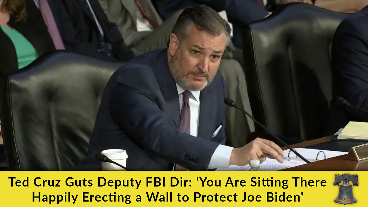 Ted Cruz Guts Deputy FBI Dir: 'You Are Sitting There Happily Erecting a Wall to Protect Joe Biden'