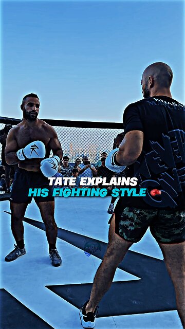 TATE ON HIS FIGHTING STYLE