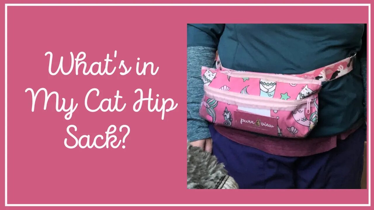 Purr View: What is in Tonia’s Cat Hip Sack??