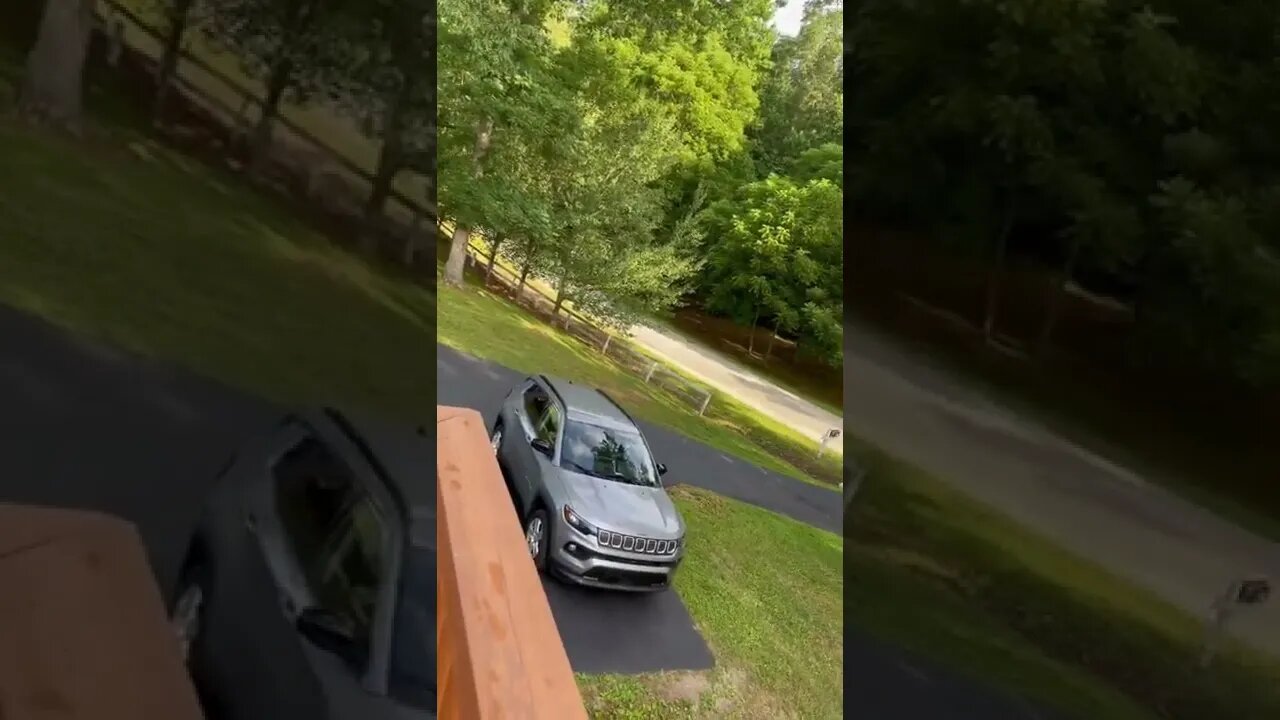 Fun