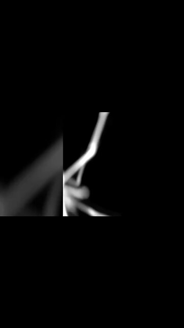 Creepy visitor caught on security camera