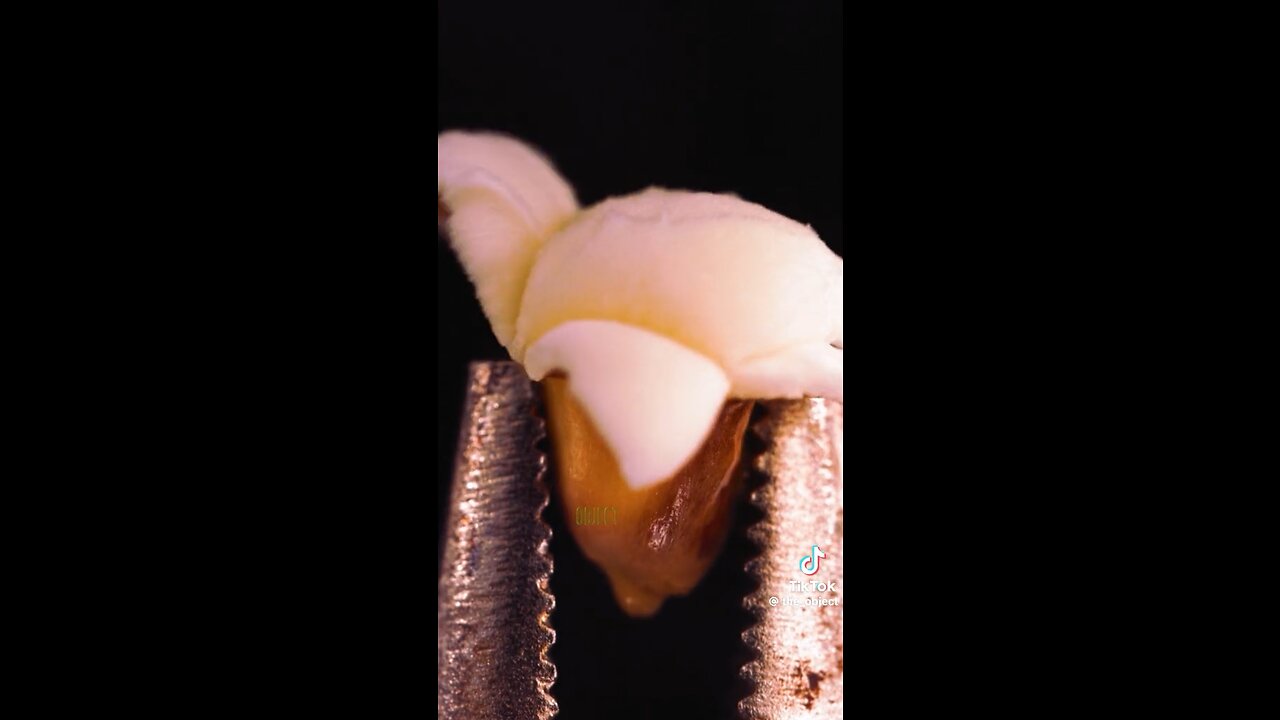 Satisfying Slo-mo Closeup