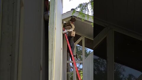 This colony only had a couple inches worth of comb built before we relocated them