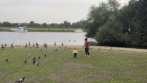 Playing at Windsor with Pigeons