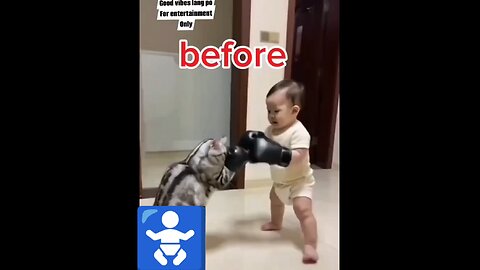 funnyvideo