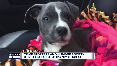 Crime Stoppers and Michigan Humane Society join forces