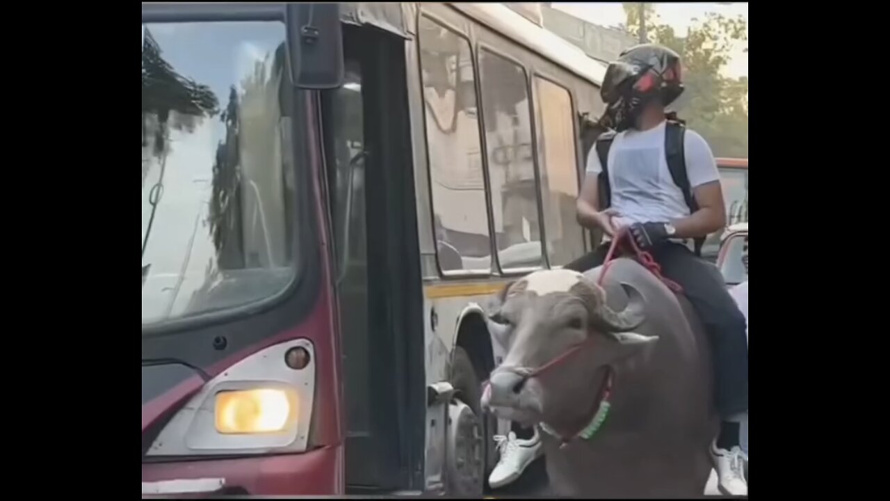 Desi jhotta in Delhi 😂