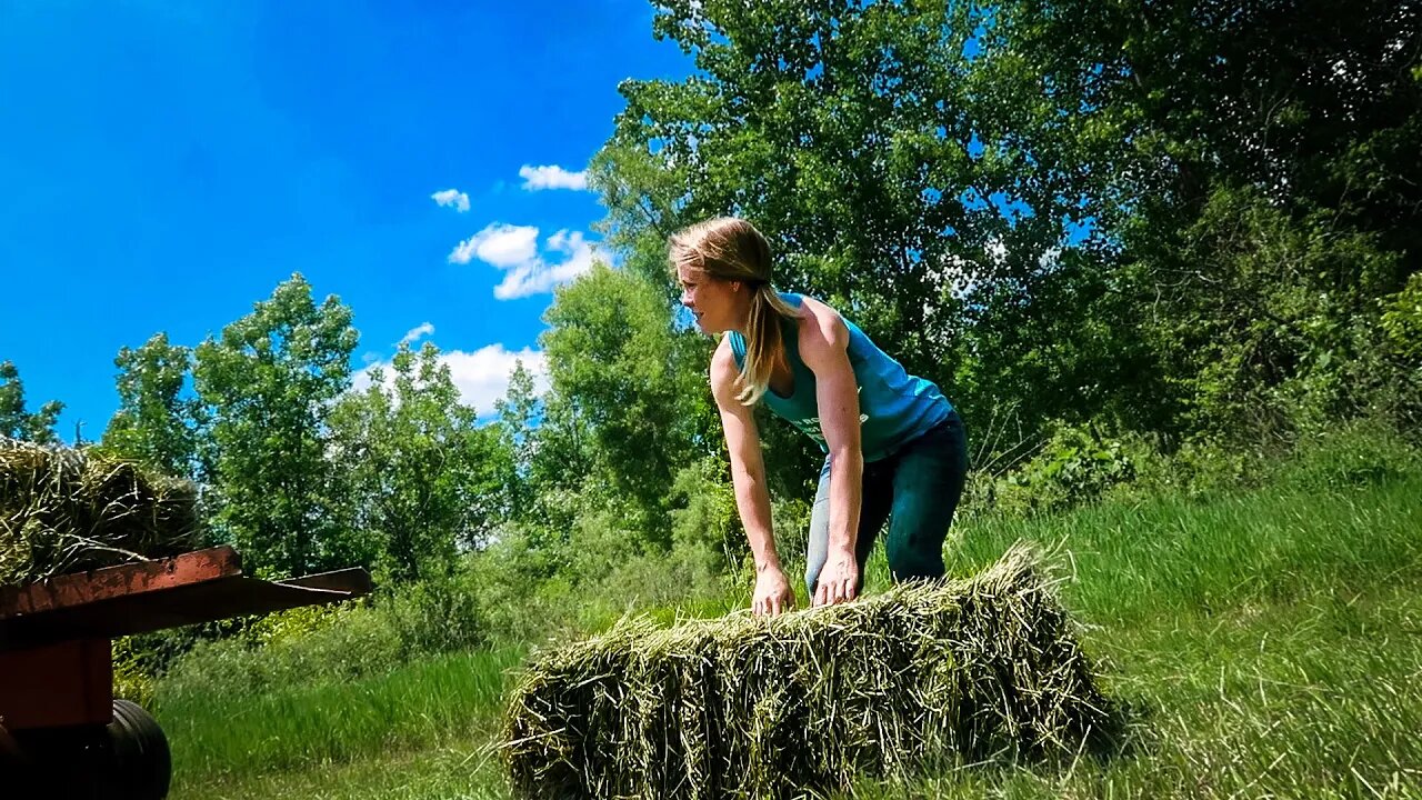 Trouble Starts - Baling First Cutting Grass Hay- Video 1: The Fight Begins . . .