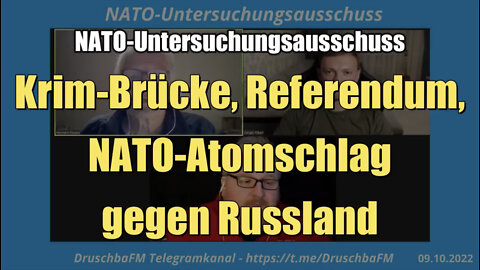 NATO-Untersuchungsausschuss: Krim-Brücke, Referendum uvm. (09.10.2022)