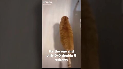 It's the one and only D-O double G #shorts