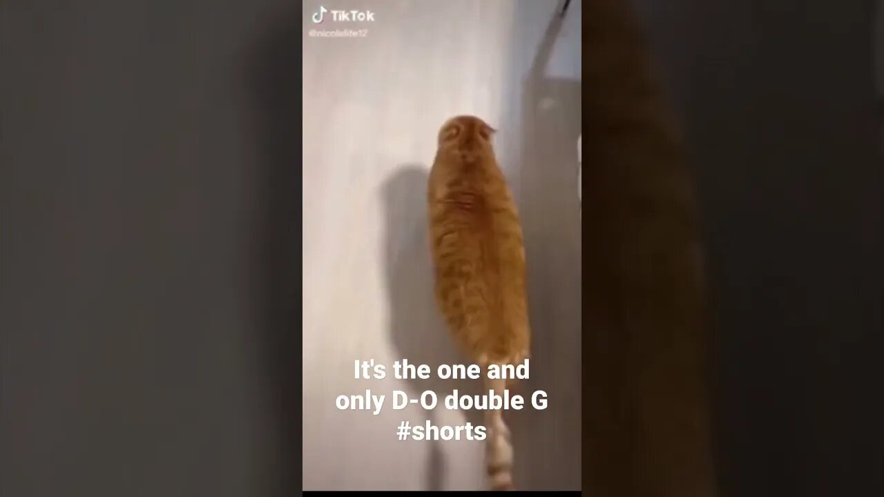 It's the one and only D-O double G #shorts