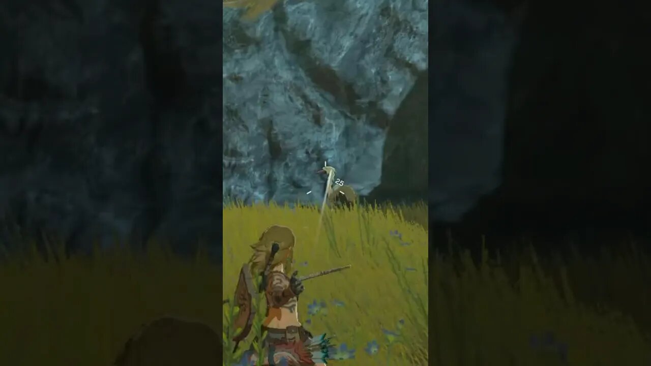 Count how many spins this animal does before it’s demise! #shorts #link #nintendoswitch