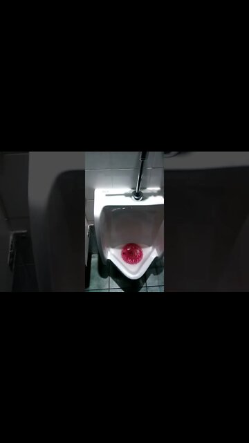 Men's Restroom at Long Doggers Full Shoot | TBrown0065