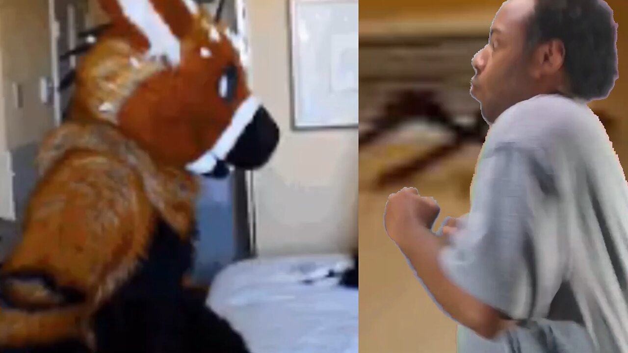 Baron Tremayne Caple/Foxy Kitsune Fox Fighting Brawling Punching Furry/Furries/Fursonas/Fursuits