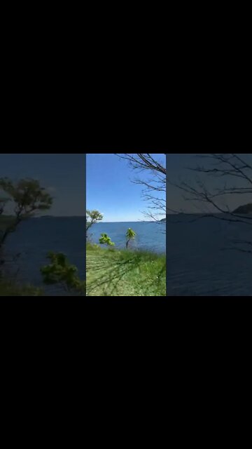 Old Cannons at Point Pleasant Park Halifax