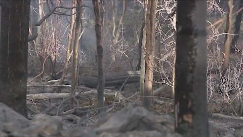 Fire crews, locals surprised by December Miner's Candle Fire