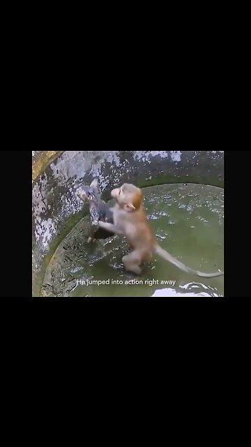 THE MOST HEARTWARMING RESCUE YOU'VE SEEN